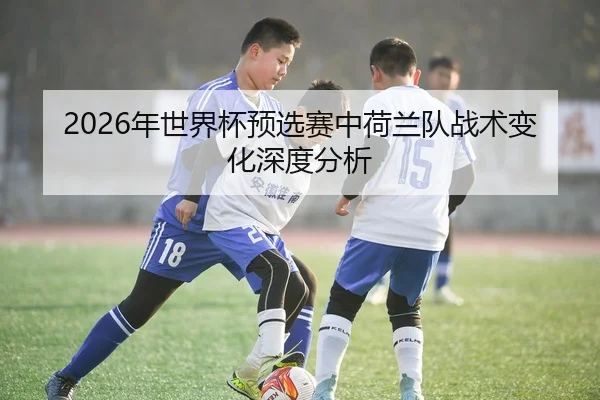 2026年世界杯预选赛中荷兰队战术变化深度分析