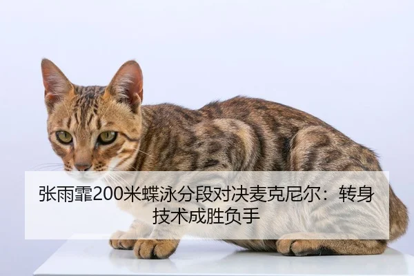 zhang-yu-fei-mi-die-yong-fen-duan-dui-jue-mai-ke-ni-er-zhuan-shen-ji-shu-cheng-sheng-fu-shou-2-361.jpg